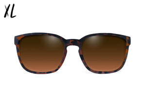 Cabana XL - Tortoise Shell - Brown Gradient Polarized